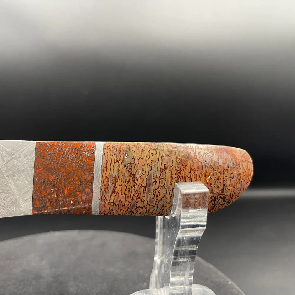 Dinosaur gembone handle detail